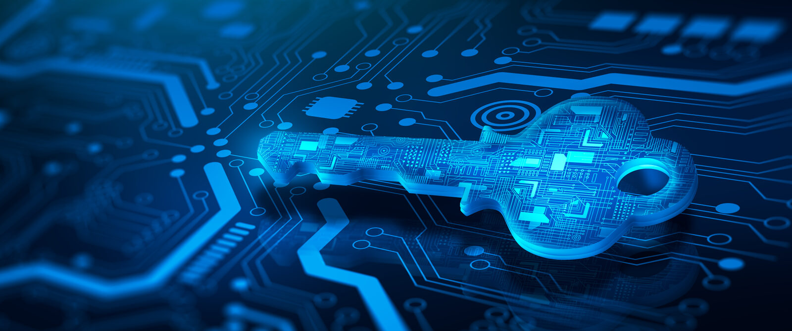 Fundamentos de privacidad empresarial y anonimato online