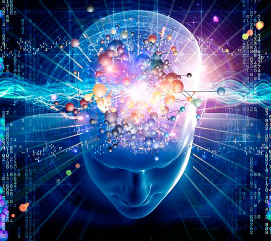 Neurociencia y conducta: por qué somos como somos
